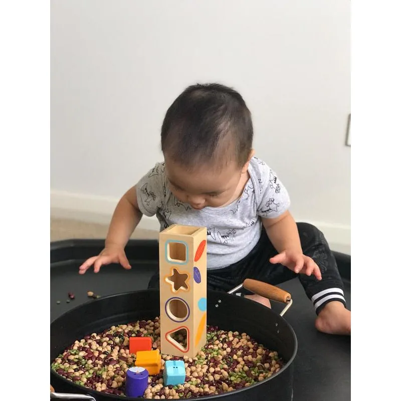 Boitabasic Shape Sorter