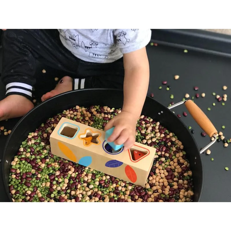 Boitabasic Shape Sorter