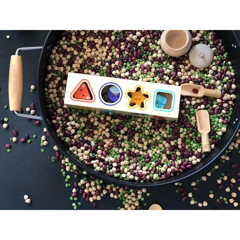 Boitabasic Shape Sorter