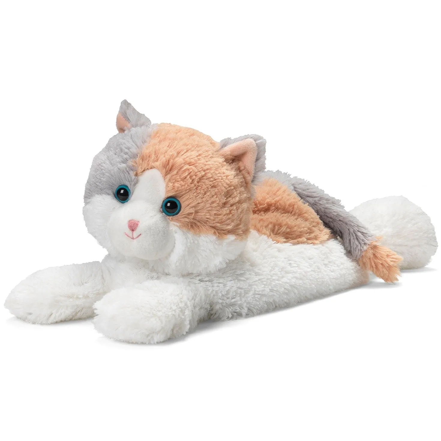 Calico Cat