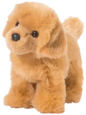 Chap Golden Retriever