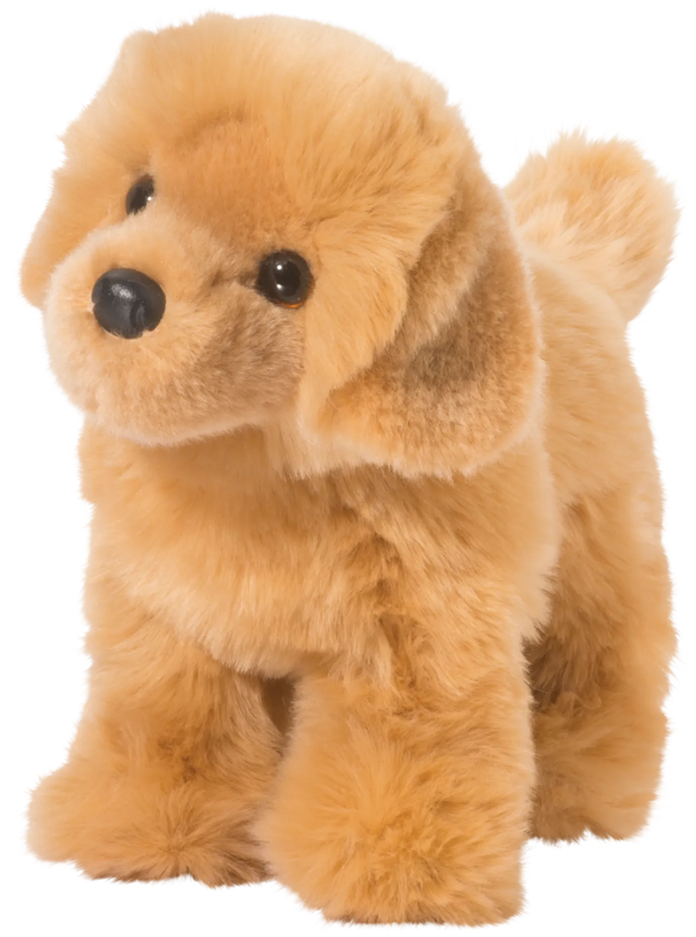 Chap Golden Retriever