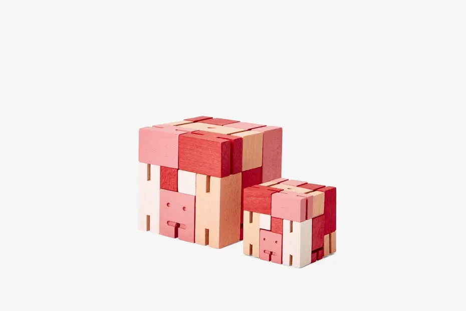 Cubebot Capsule Micro