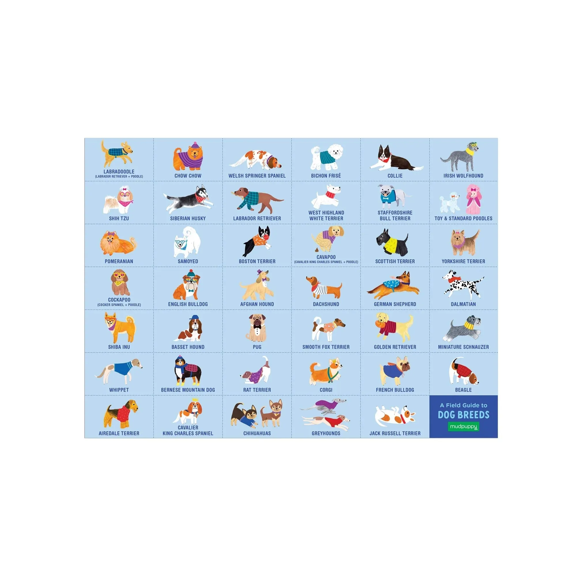 Doggie Days Search & Find Puzzle
