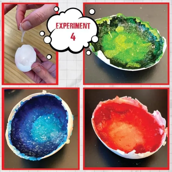 Einstein’s Lab - Crazy Egg Science