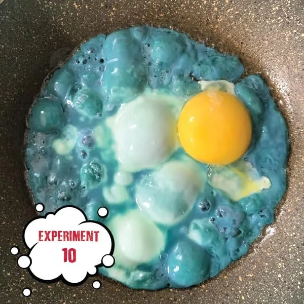 Einstein’s Lab - Crazy Egg Science