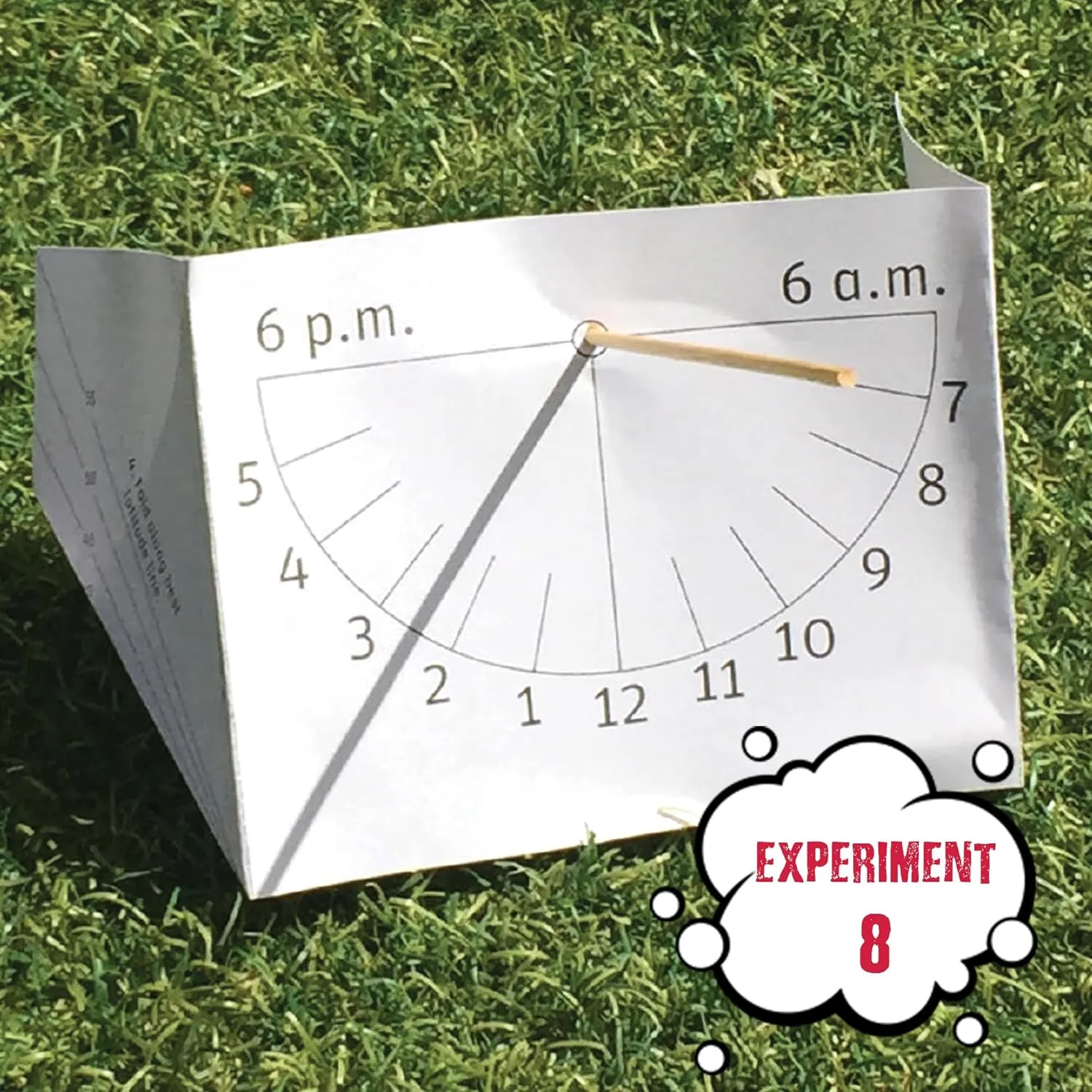 Einstein’s Lab- Young Survivor