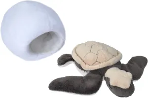 Hatchling Sea Turtle