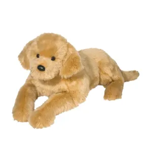 Sherman Large Golden Retriever
