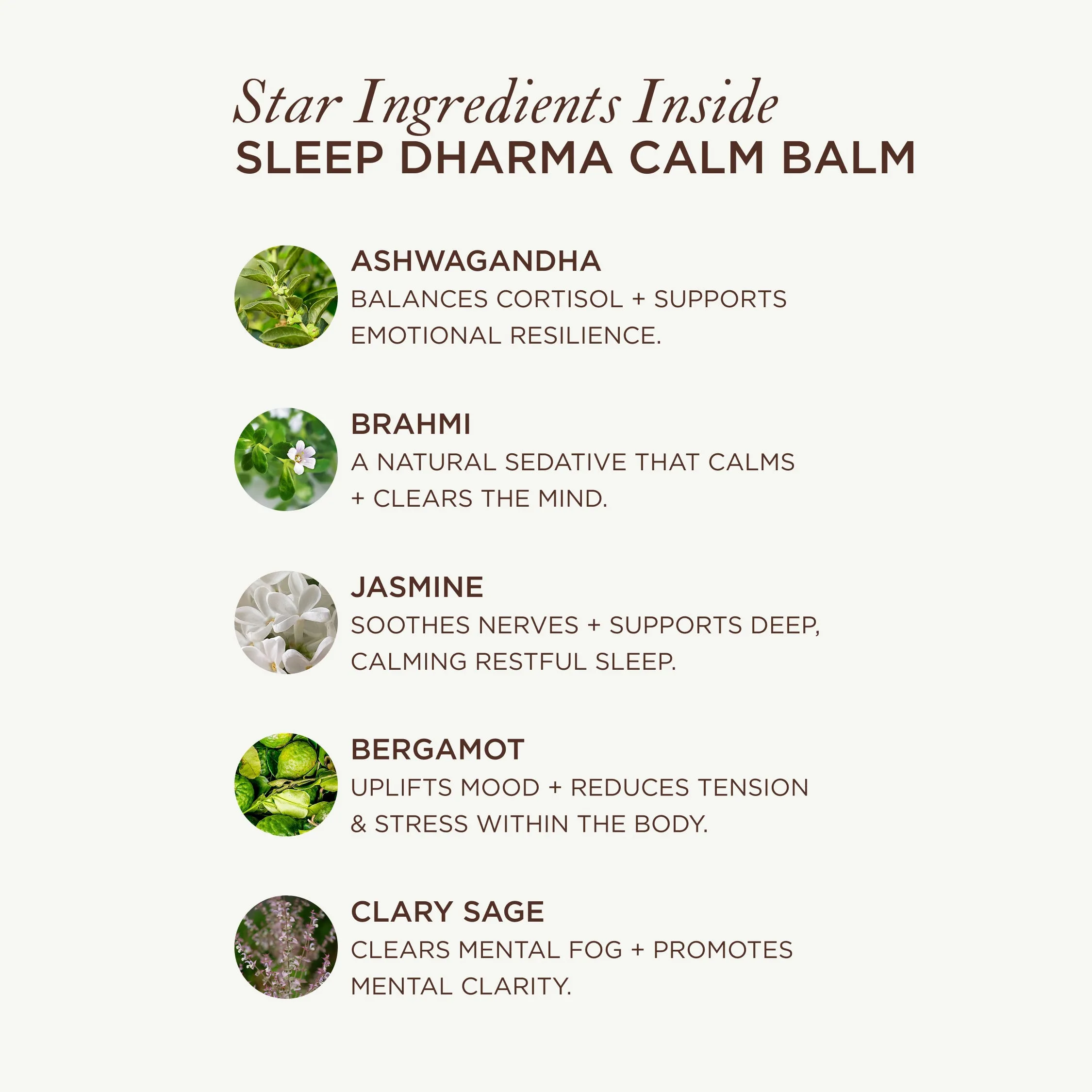 Sleep Dharma Calm Balm