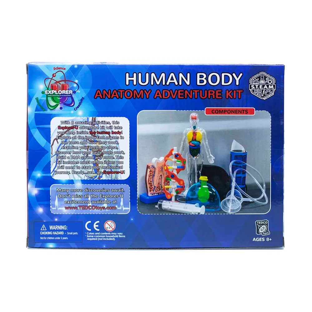Tedco Toys Explorer-U Human Body Anatomy Exploration Kit