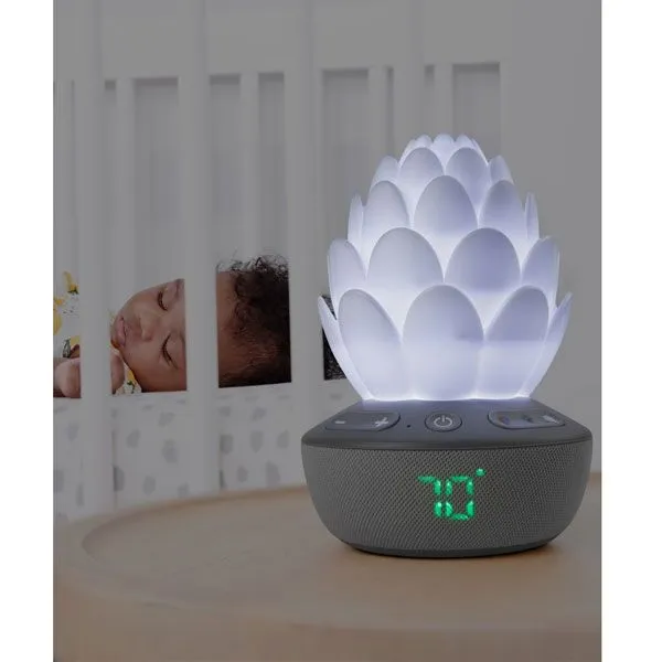 Terra Cry-Activated Soother