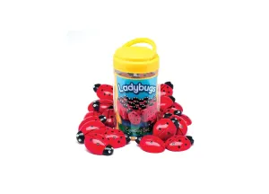 Yellow Door Educational Ladybug Counting Set - Colorful Math Learning Toy for Kids - Pack of 22