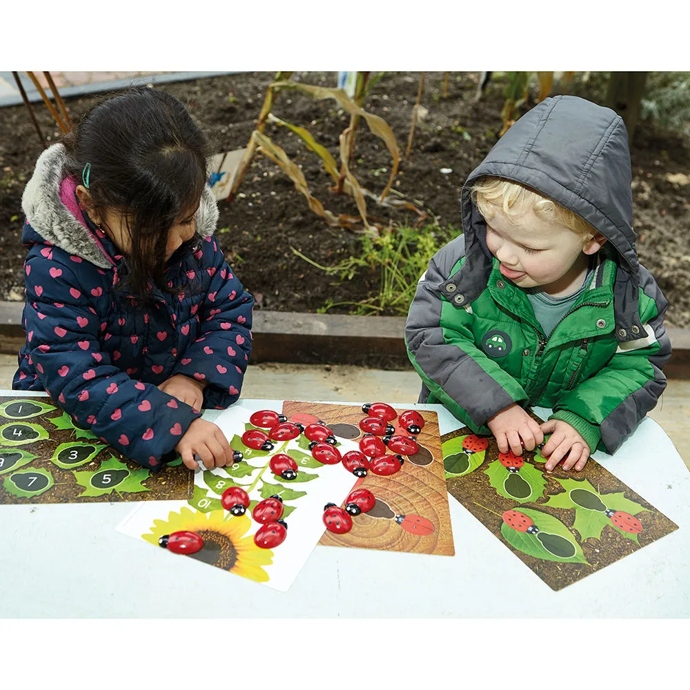 Yellow Door® Ladybug Early Number Set