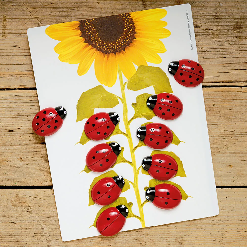 Yellow Door® Ladybug Early Number Set